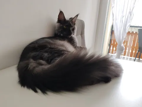 Théoden turned 6 months old