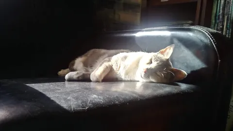 In honor of Molly Dec 24, 2025