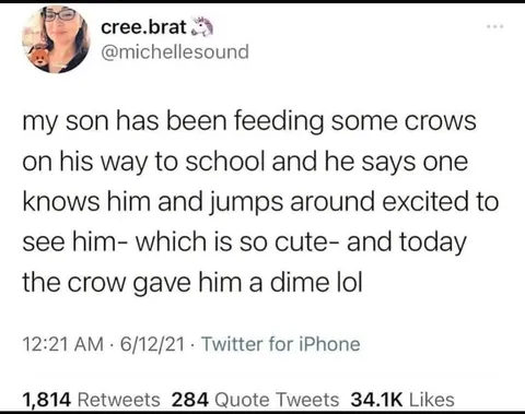 Crows never forget a good person.