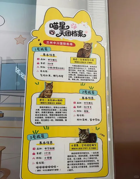 The office set up by Lanzhou Zhongchuan International Airport for their “rodent control specialists.”
