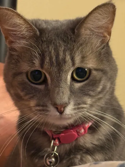 A couple close ups of Apple!