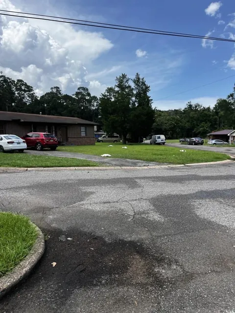 Birds mysteriously drop from the sky