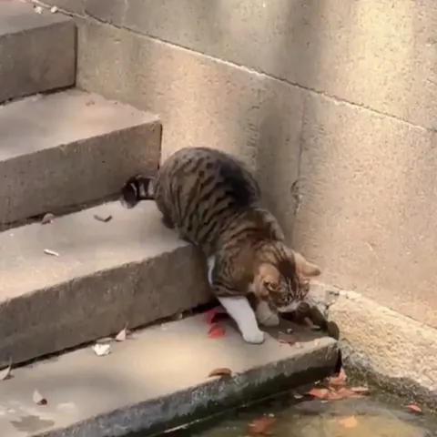 Teach fishing techniques to audiance live...