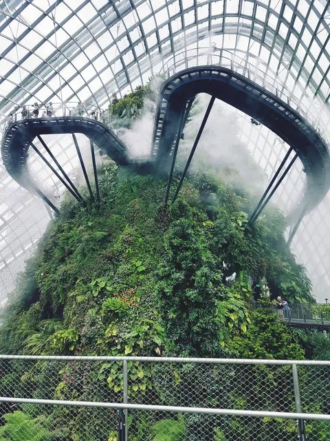 The Cloud Forest - Singapore