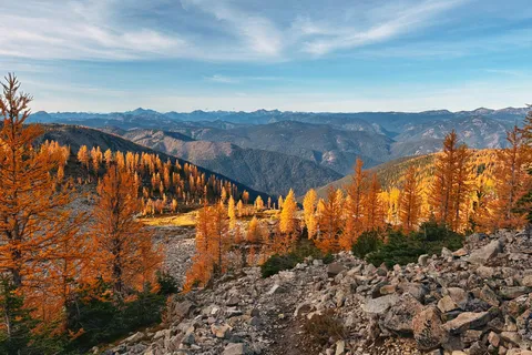 Golden larches at EC Manning Provincial Park, BC, Canada [3986x2656] [OC]