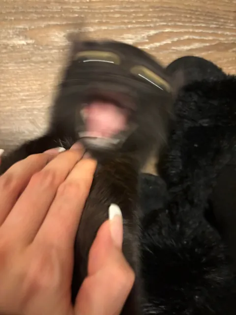 When mom comes home!