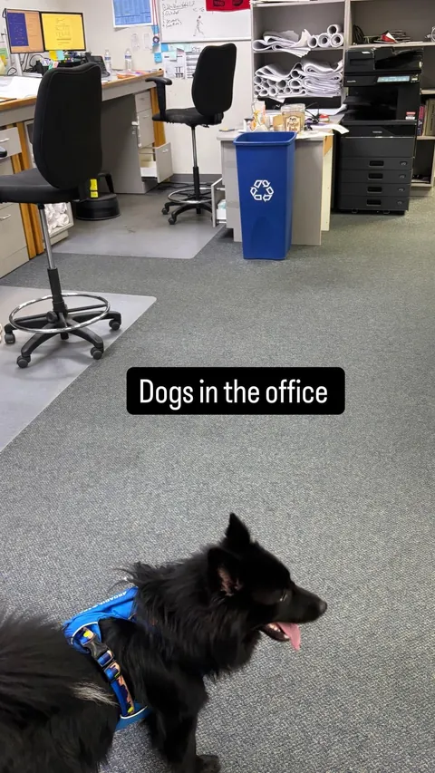 Thanks for checking in, I’d say he’s doing quite well! 3 months with my best friend. Time flies when you’re having fun!