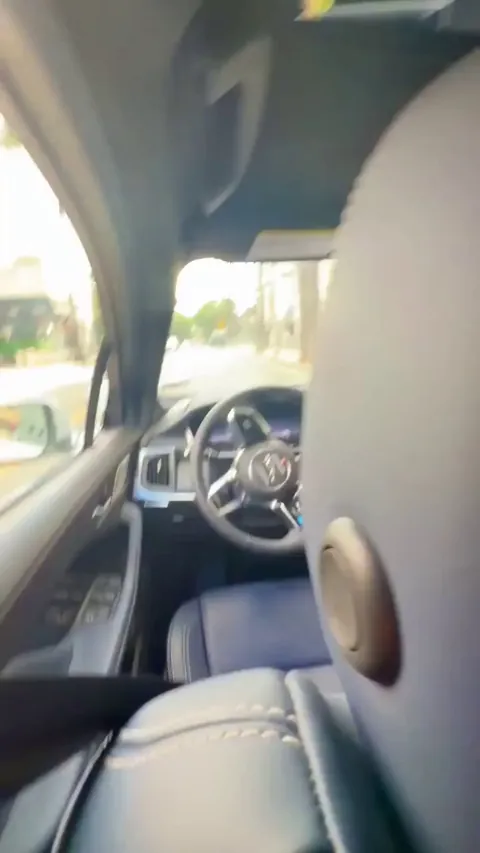 They ordered a self driving taxi and there was a parrot driving.