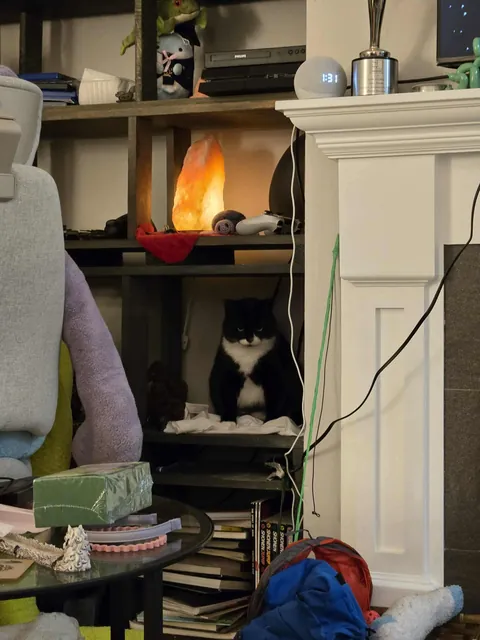 People like my Boi sprig, so i decided to show more. Enjoy