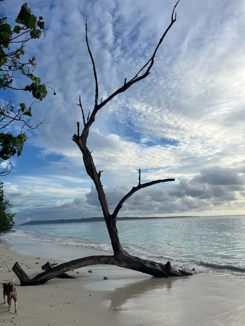 Some clicks from my recent visit to Andaman and Nicobar Islands, Union territory of India