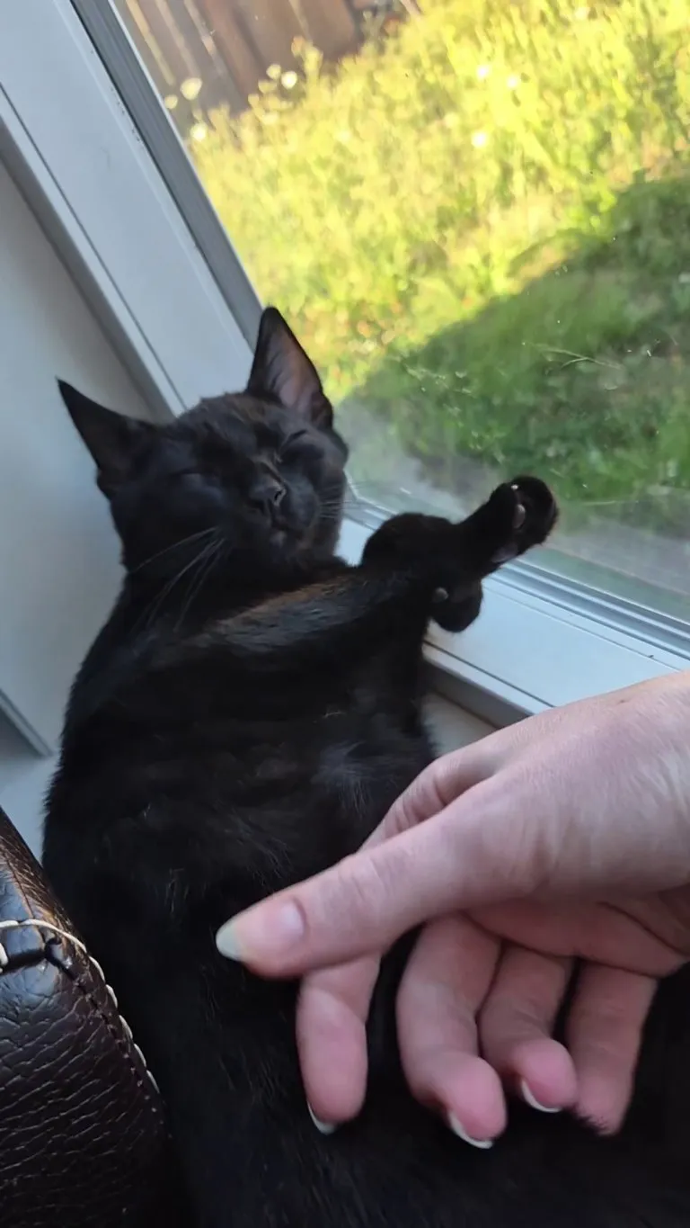 I think I can die now 🫠