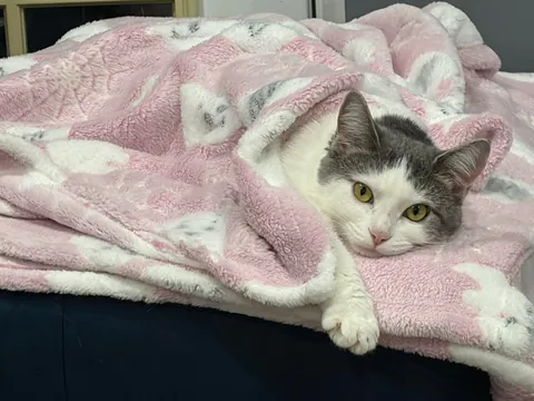 Do not disturb. I am booked and busy.😴