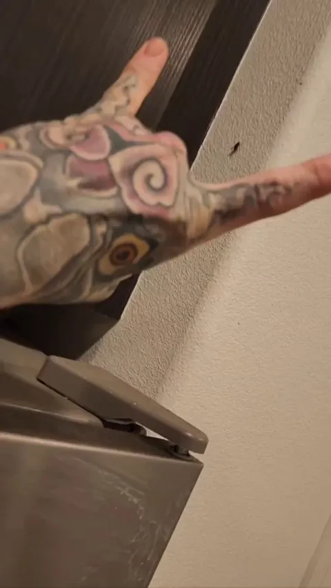 Kill any fly with one finger. The Spiderman technique confuses the fly, not knowing which way to go the fly freezes every time. I've won a few bets with this trick 💰