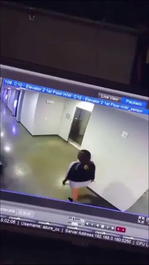 Passer-by reacts quickly to remove dog's collar 