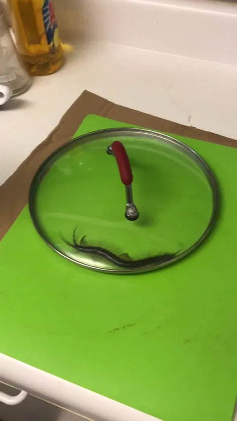 Move to Hawaii, it is a paradise, people say...