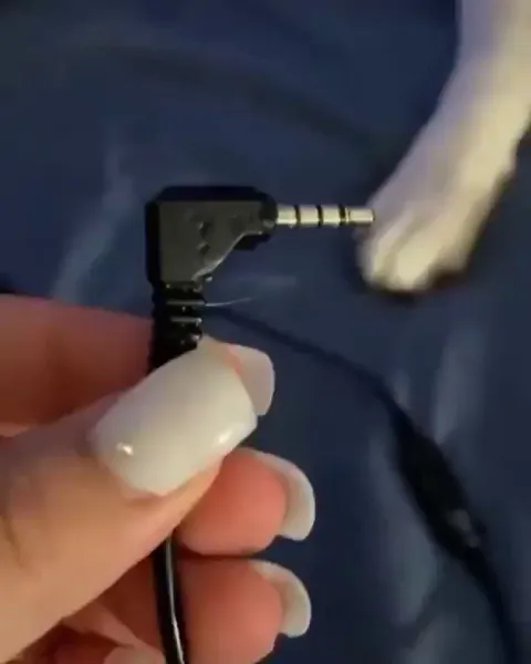 Don’t make eye contact. Don’t make eye contact. Don’t make eye contact