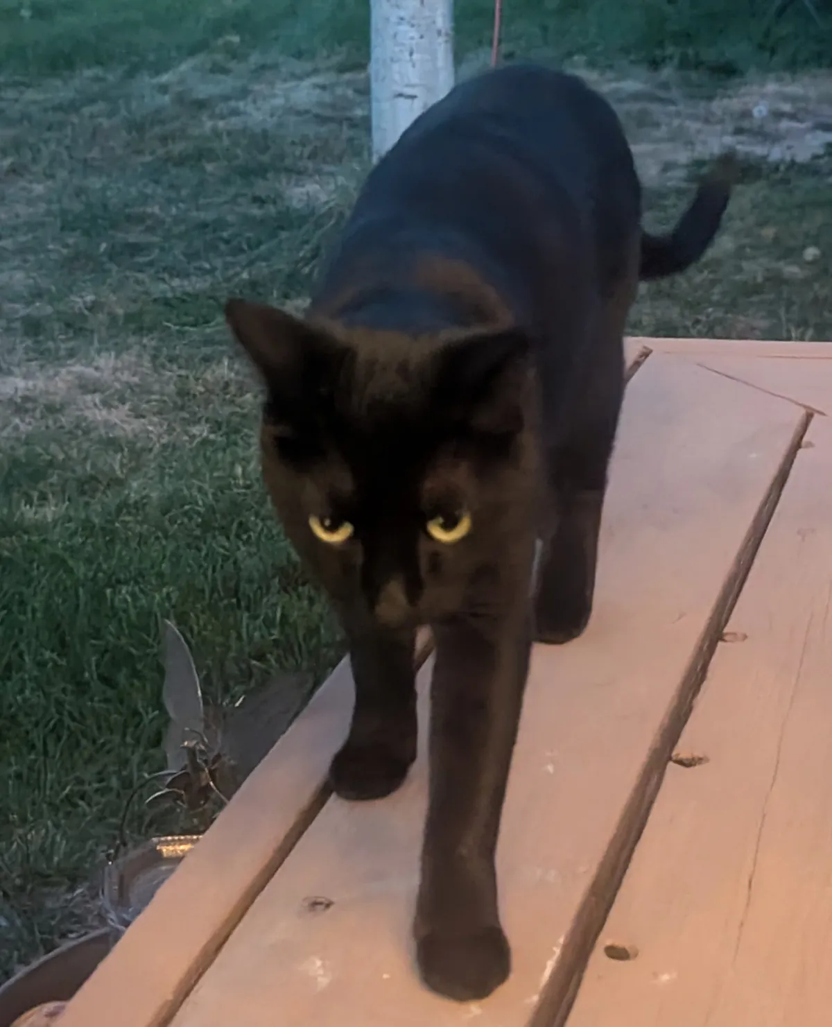 Accomplice to multiple murders! Help me!