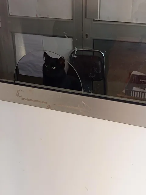 Employee of the month award goes tooo🥁🥁🥁