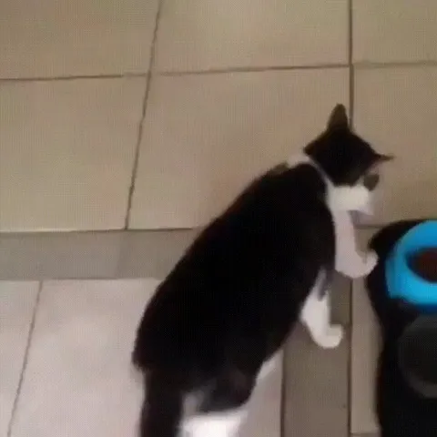 She brought her friend to dinner!