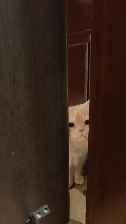 My baby watching me leave for a month long internship 🥺