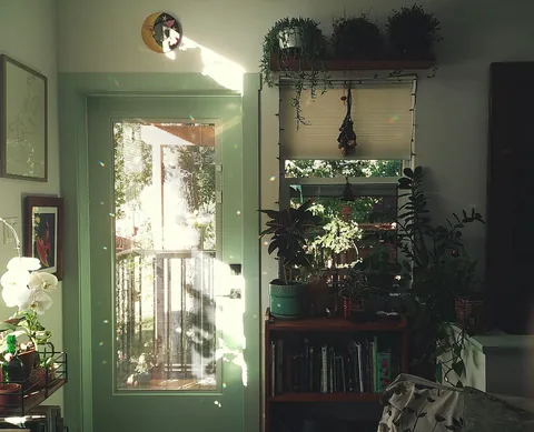 My happy place in the morning sun