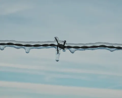 ITAP of a frozen barbed wire 
