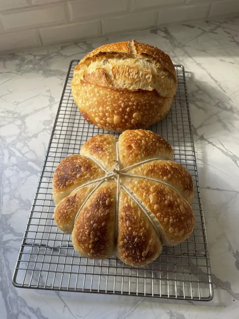 [homemade] Pumpkin shaped  sourdough