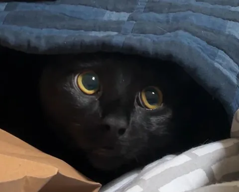 lucifer has cartoon eyes 👀