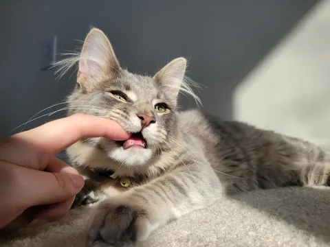 "You won't want to deal with it"