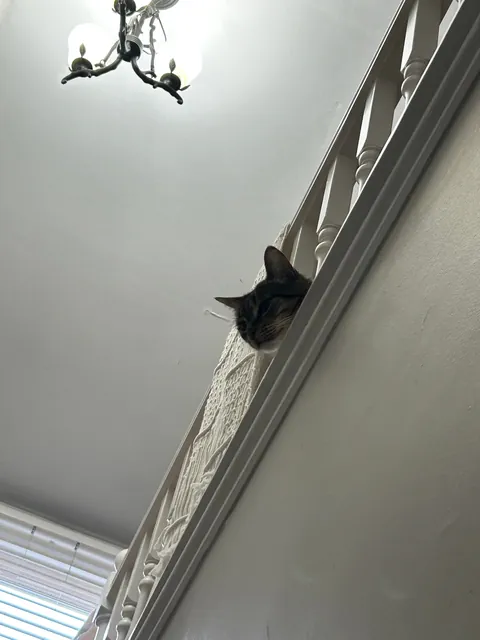 Look at this creep 😩 Show me your lunatic stalkers pls. I’ll go first: