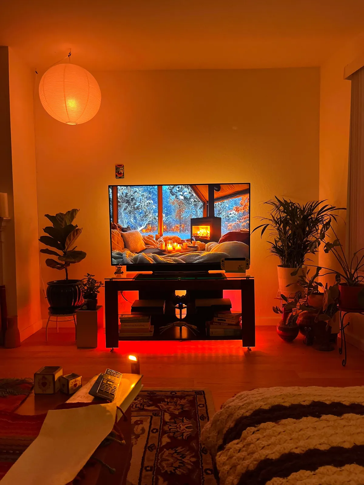 Daytime vs. Nighttime!