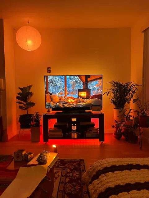 Daytime vs. Nighttime!