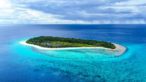 I returned to New Guinea, to a very remote atoll for a month long trip, living off the ocean.