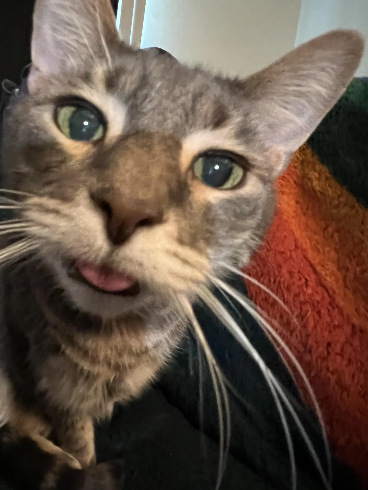 he walks up to you like this, what’s your next move?