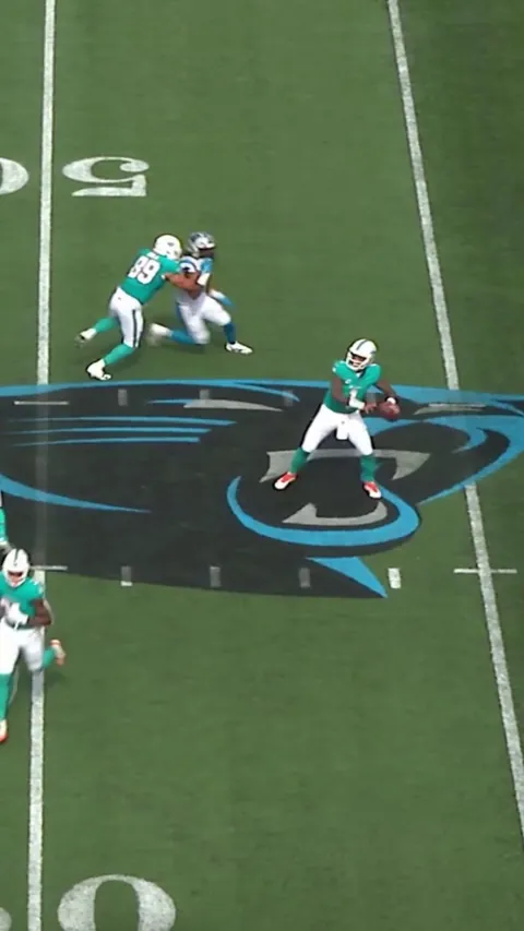 [Highlight] Best of commentator Eric Collins calling Dolphins vs. Panthers