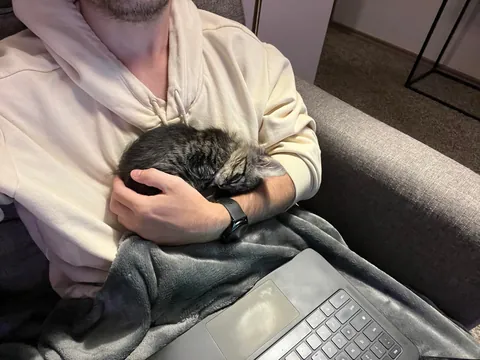 Every time I sit down he insists on taking his naps in my arm