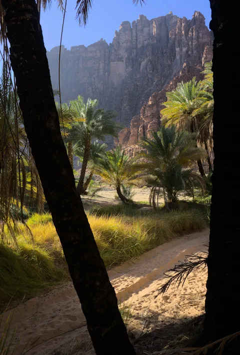 Wadi Disah, Saudi Arabia [3724 x 5503] [OC]