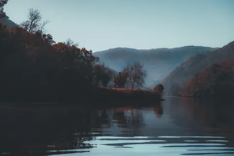 Algunos días en galicia. Non creo que haxa unha comunidade máis fermosa na terra.