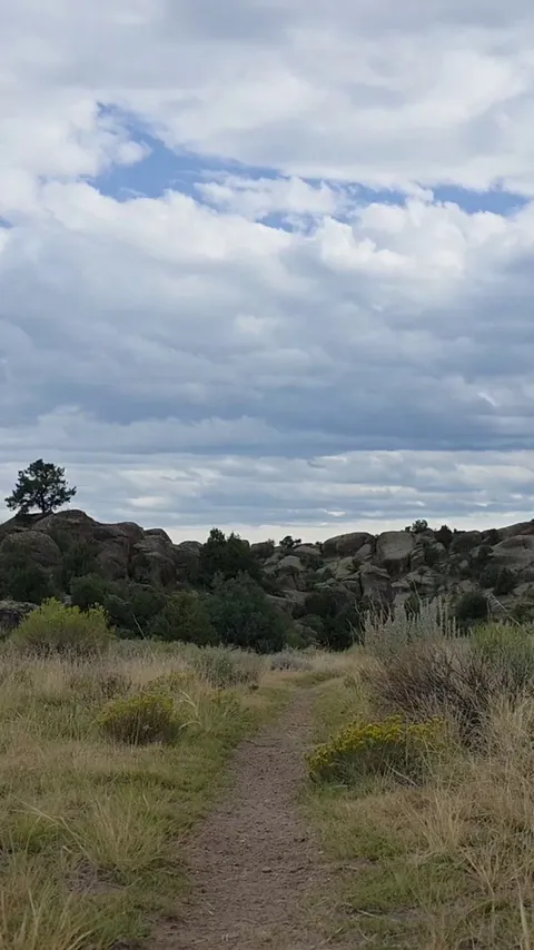 Find a redhead and take a walk on the wild side