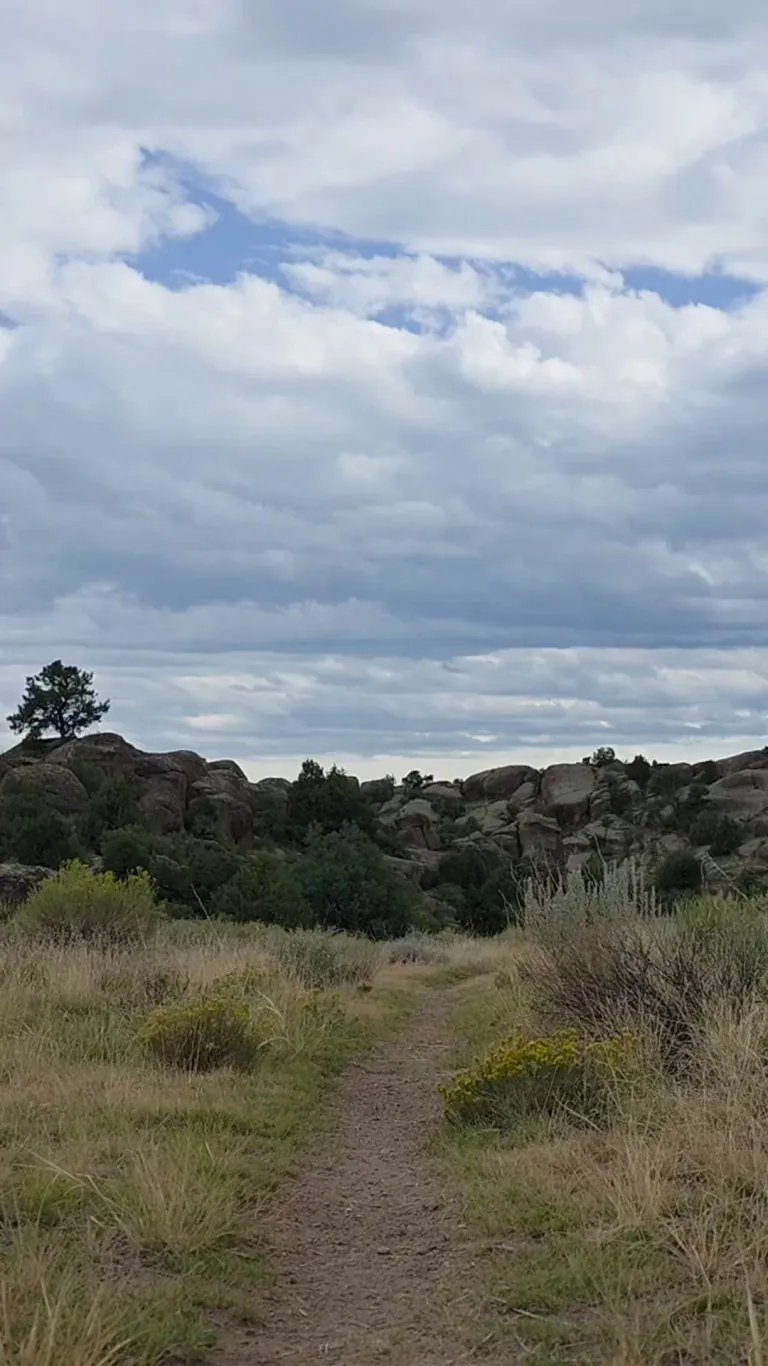 Find a redhead and take a walk on the wild side