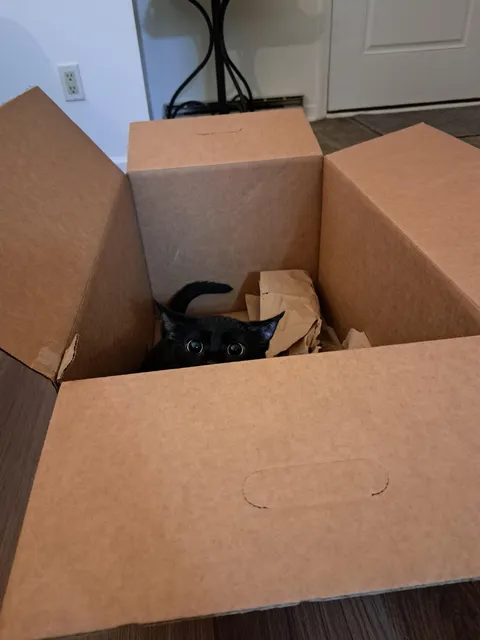 I risked my life to get this picture 