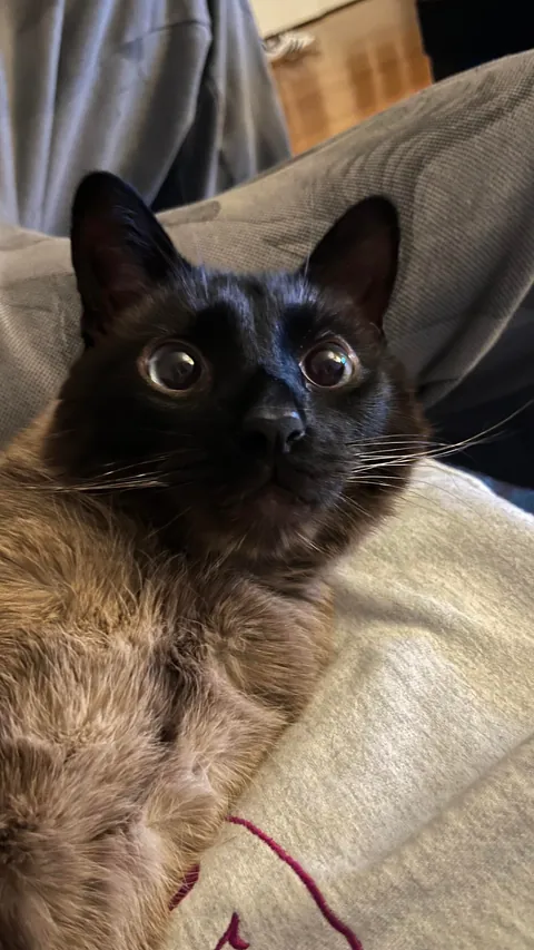 For my first Reddit post ever, here is my son💌