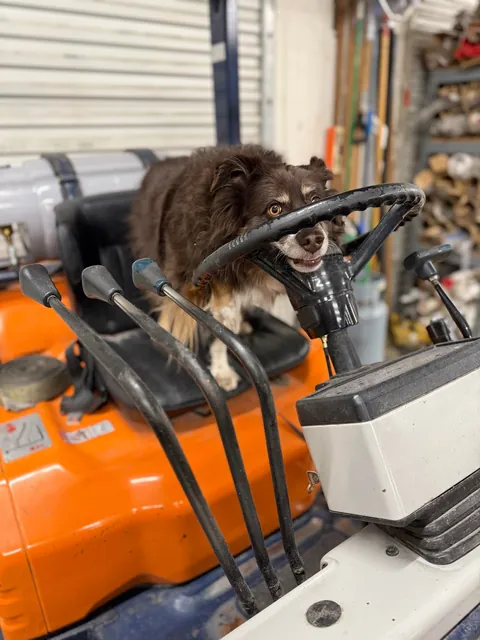 I took my girl to work yesterday…