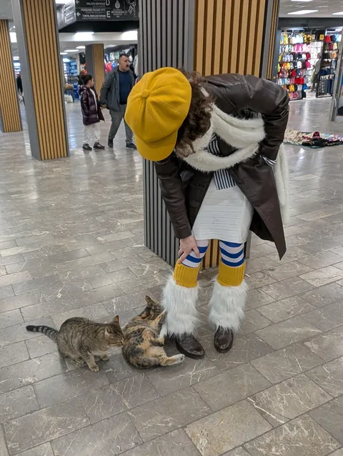 outfit of the day to touch every cat in this city