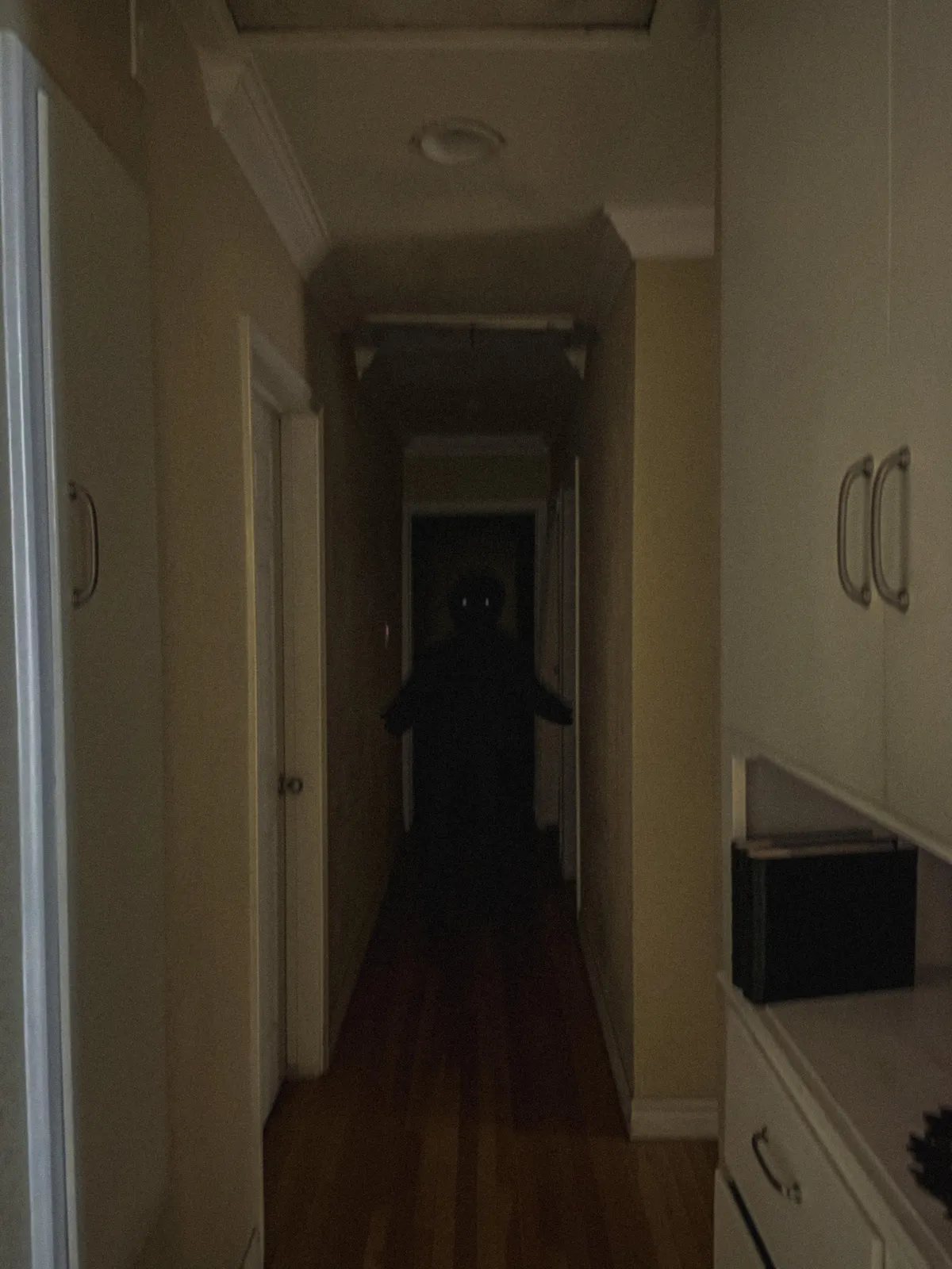 The walking stalker...