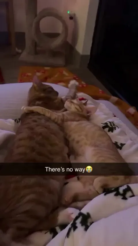 A forever remembered betrayal