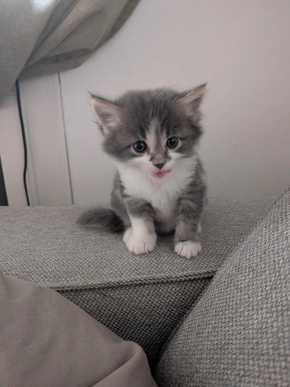 This is honey, and honey is sweet like honey