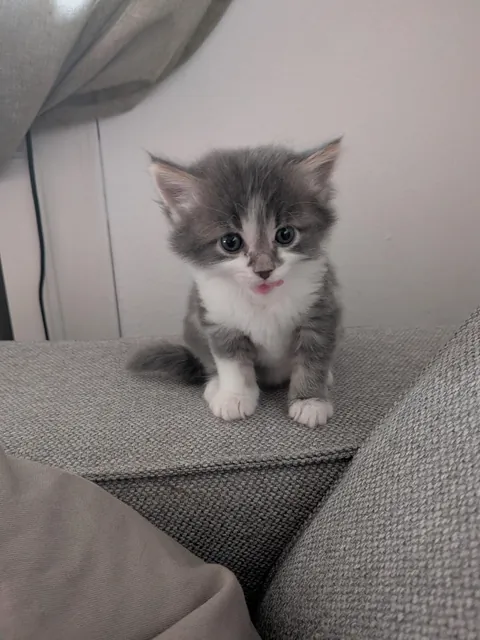 This is honey, and honey is sweet like honey