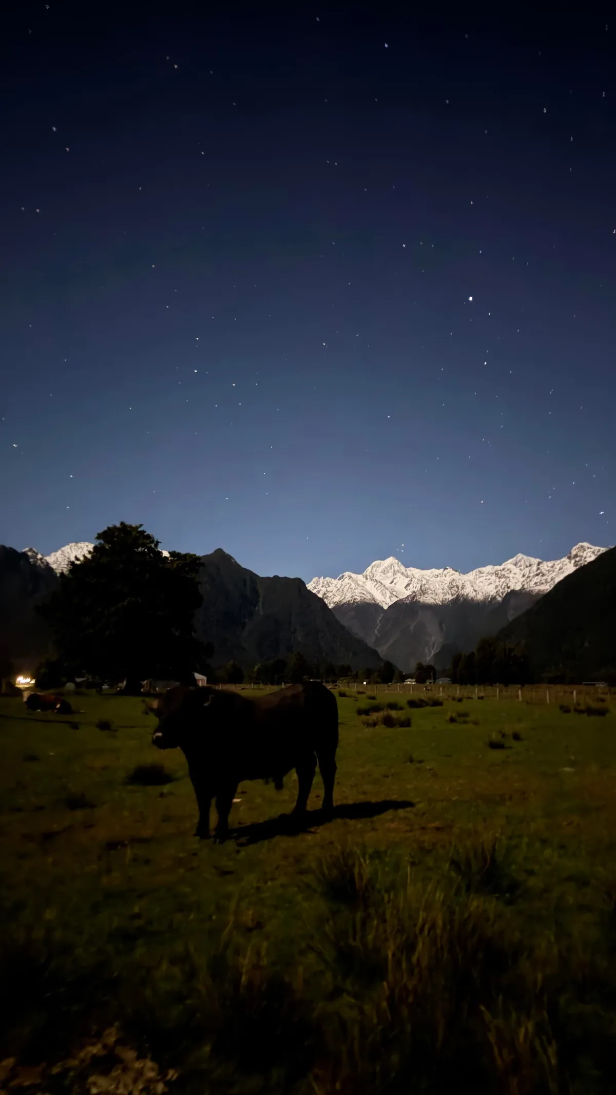 Very Recent Trip to New Zealand (Oct end) Jo