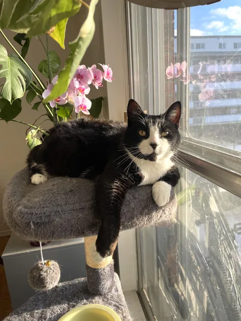 My old lady is thirteen today!